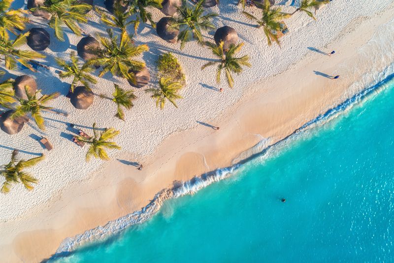 Aerial view of umbrellas, palms on the sandy beach and sea